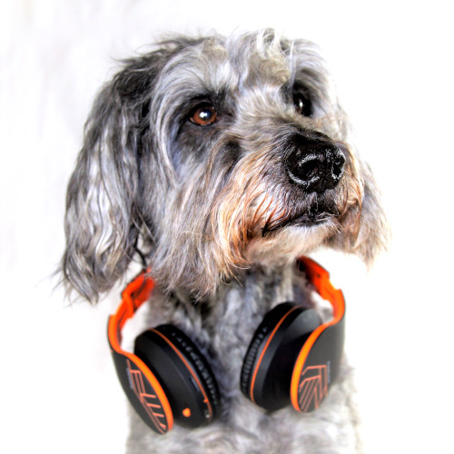 Matze Music